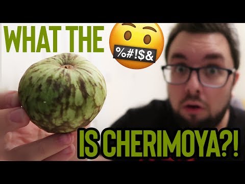 What Is Cherimoya? Custard Apple?! Review