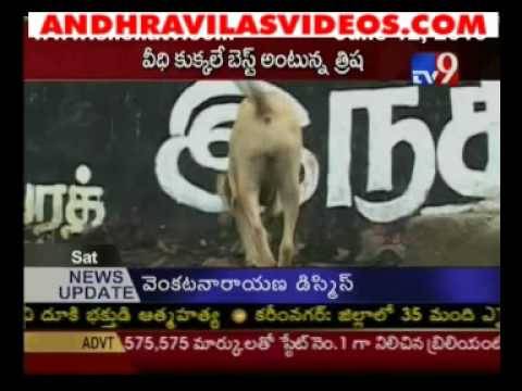 Trisha Loves Indian street Dogs