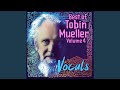 Icarus (feat. Donny McCaslin & John Luper) - Tobin Mueller - Topic Icarus (feat. Donny McCaslin & John Luper)