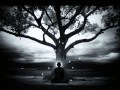 Peter Davison - Tree (Adagio - Music for Meditation)
