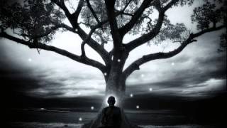 Peter Davison - Tree (Adagio - Music for Meditation)