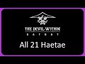 All 21 Haetae Locations | The Devil Within: Satgat Guide