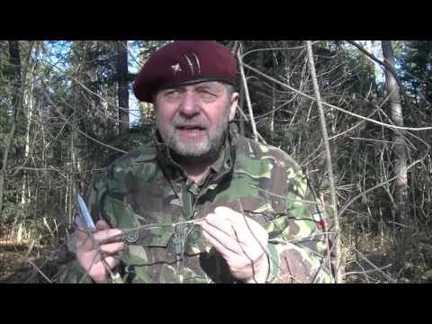 Buckthorn or common buckthorn