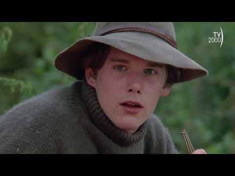 Zanna Bianca, Un Piccolo Grande Lupo [Zanna Bianca ritorna da Jack]