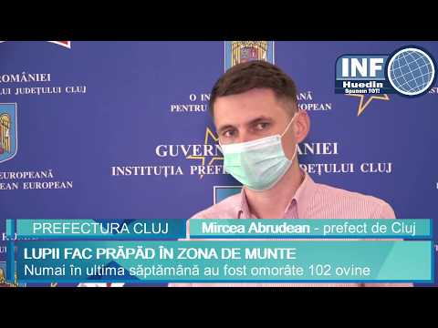 InfoHuedin.ro - Lupii fac prăpăd în zona Huedin