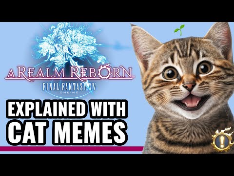 A Realm Reborn Explained with Cat Memes [FFXIV 2.0]