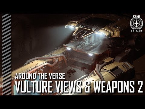 Around the Verse - Vulture Views and Weapons 2
