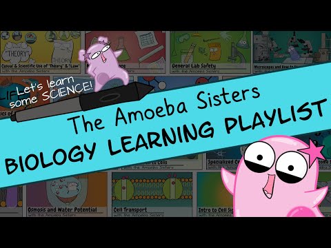 Amoeba Sisters Biology Learning Playlist Introduction - YouTube