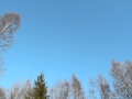 Joel Hallikainen - Lumihiutaleita 