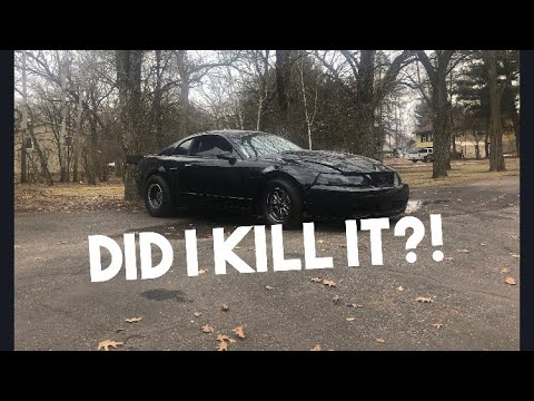 IT’S ALIVE!! Until it wasn’t... SBE Mustang VS88