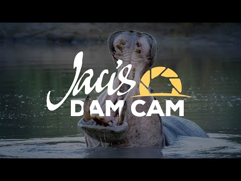 Jaci’s Dam Cam