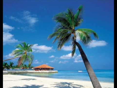 Paul Van Dyk & Rachel McFarlane - For An Angel