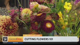 Plant Lady - flowers you can grow in your garden for bouquets! Bonus: Houseplant Care