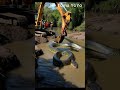 Excavator Digs Up A Giant Amazon Anaconda Wildanaconda Anacondaseason Snake