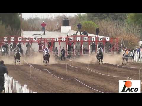 TOTOYA HIPODROMO EL DESCUIDO EL BRETE 07 08 2022