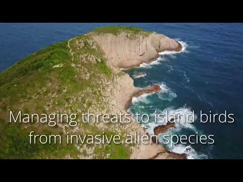Bird Conservation International Centenary video