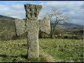 Jelica Vasic - Zaplakala Stara Planina 