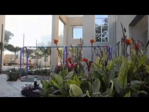 Walkthrough Walkthrough