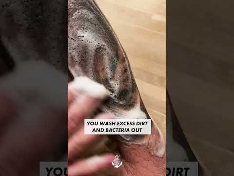 6 Must-Know Tips for Keeping Your Tattoo Clean and Vibrant