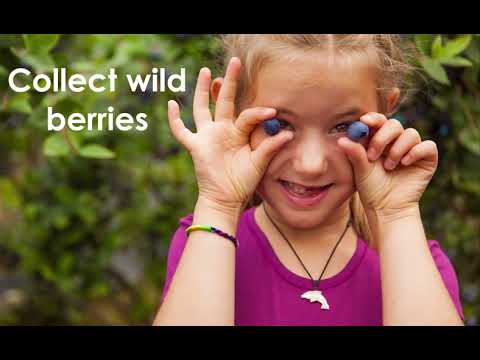 Valsugana: where tourism is sustainable!