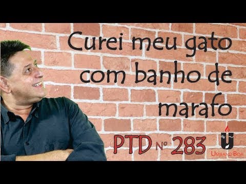 PTD nº 283 - Curei meu gato com banho de marafo