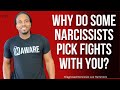 Why do some narcissists pick fights? | The Narcissists' Code Ep 693