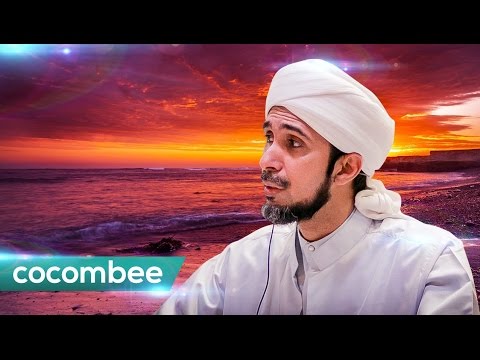 Trental menyembuhkan impotensi Apa persiapan yang lebih baik untuk potensi