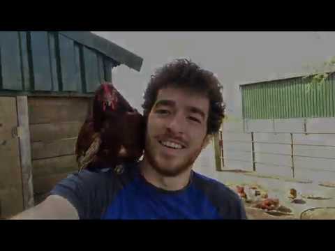 Expeditie de boer op - #2 - Gerben Verrips - VVFC de Uithof