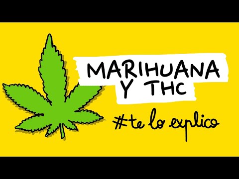 HOW MARIJUANA WORKS | #IEXPLAINITTOYS