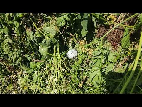 Zbyt gorąca pryzma kompostowa. Koniec z przerzucaniem. Kompostowanie na gorąco