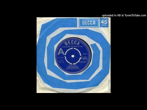 PUSSYFOOT - Hasty words