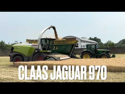 Claas Jaguar 970 and Domai MPD-612 barley season forage 2023