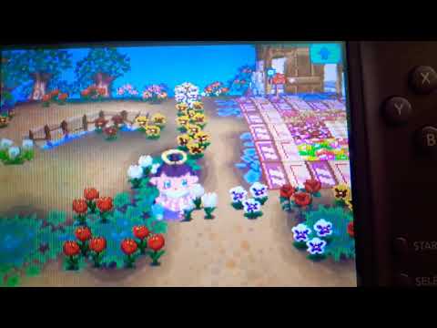 Perfect Mintmoo Town Tour! Animal Crossing Wild World