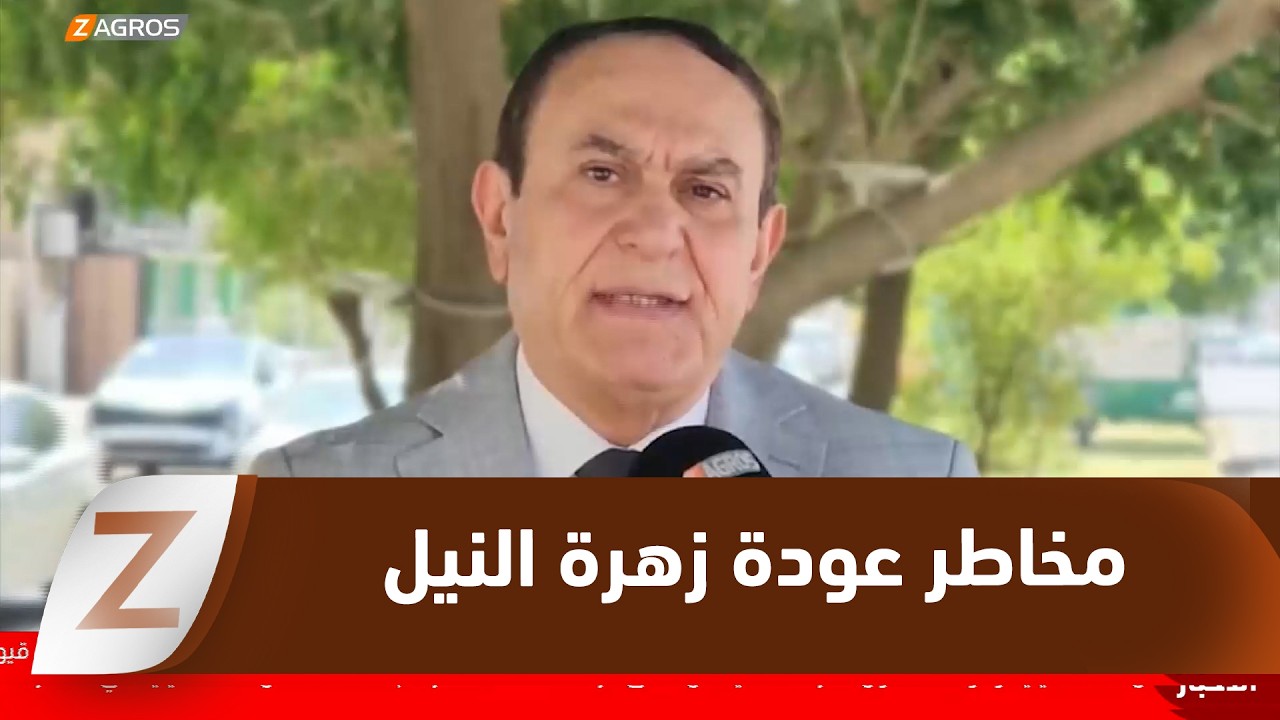 فيديو | واسط ..  عودة زهرة النيل إلى دجلة تنذر بمخاطر بيئية وزراعية متفاقمة