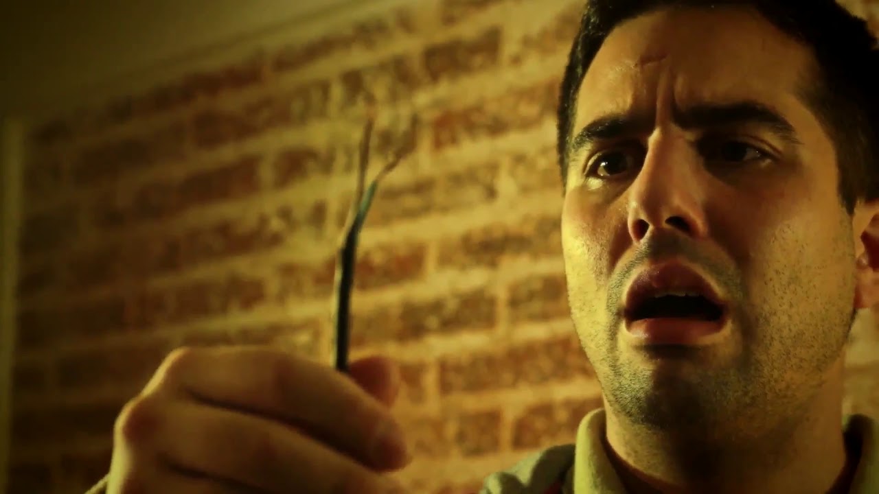 Los libros no muerden trailer