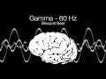 'Genius' Gamma Binaural Beat - 60Hz (1h Pure)