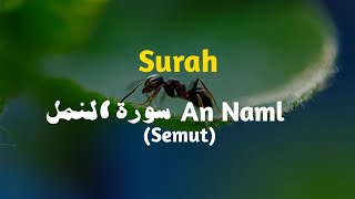 Download lagu cerita nabi sulaiman | Tadabbur Surat An-Naml | Syekh Mansur As-Salimi #murottalquran mp3