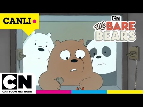 🔴 CANLI 🔴 KAFADAR AYILAR | 2. Sezon | Tüm Bölümler | @cartoonnetworkturkiye