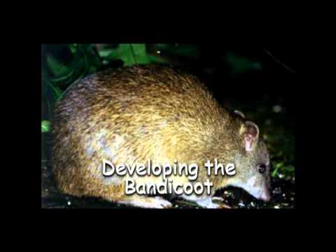 Final Challenge - CTR 101% Ending & Scrapbook - Crash Team Racing - 101% Playthrough (Part #65)