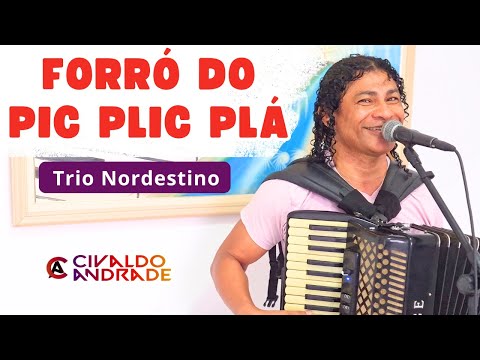 Forró Do Pic, Plic, Plá - Morais do Acordeon