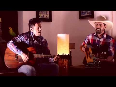 FALOU E DISSE ( CAFFE VIOLA COVER)