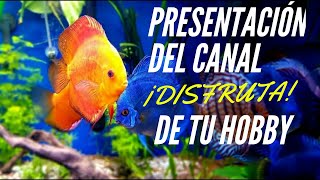😱PRESENTACIÓN de nuestro canal de ACUARIOFILIA🐠!![2020]