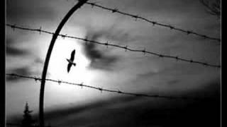 Il giorno di dolore che uno ha - Ligabue