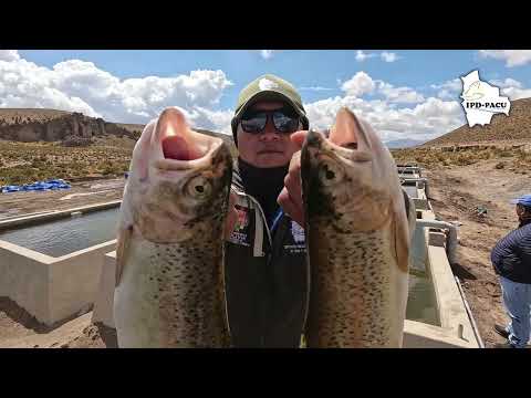 𝐈𝐏𝐃 𝐏𝐀𝐂𝐔 𝐄𝐍𝐓𝐑E𝐆Ó 𝐄𝐒𝐓𝐀𝐍𝐐𝐔𝐄𝐒 𝐃𝐄 𝐌𝐀𝐌𝐏𝐎𝐒𝐓𝐄𝐑Í𝐀  𝐏𝐀𝐑𝐀 𝐅𝐎𝐑𝐓𝐀𝐋𝐄𝐂𝐄𝐑 𝐋𝐀 𝐏𝐑𝐎𝐃𝐔𝐂𝐂𝐈Ó𝐍 𝐃𝐄 𝐓𝐑𝐔𝐂𝐇𝐀 𝐄𝐍 𝐎𝐑𝐔𝐑𝐎