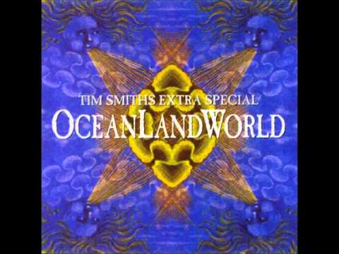 Tim Smith- Bug From Heaven