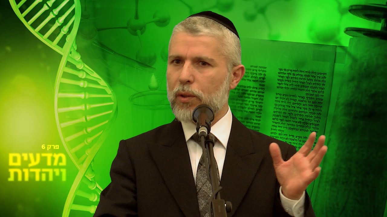 פרק 6: בריאת האדם