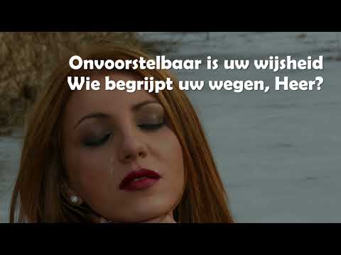 Opwekking met tekst 806 Soeverein (versie 3)