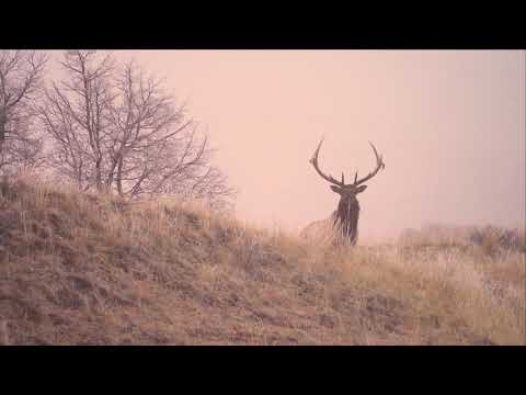 Wild Lands Wild Horses Presents: Theodore Roosevelt National Park