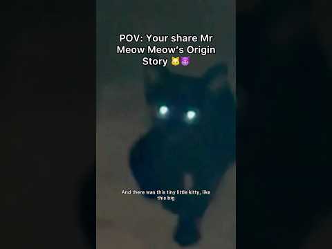 Finally Mr Meow Meow’s origin story is OUT! 😡🐱#pov #cats #cat #shorts