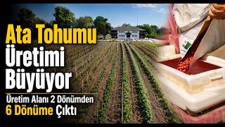 Üretim Alanı 2 Dönümden 6 Dönüme Çıktı